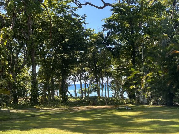 Classic Style Caribbean Villa – Your Private Oasis in Sea Horse Ranch