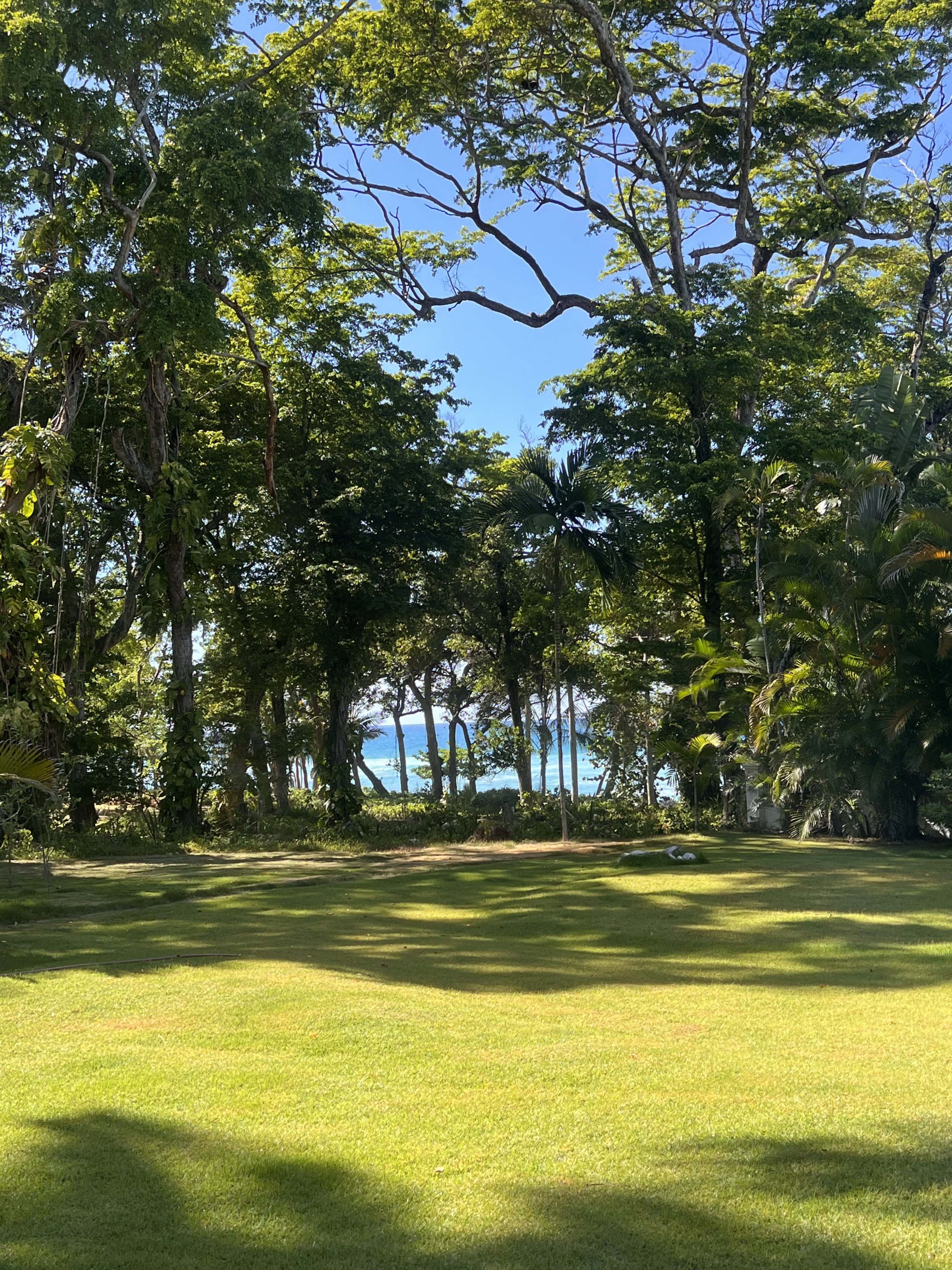 Classic Style Caribbean Villa – Your Private Oasis in Sea Horse Ranch
