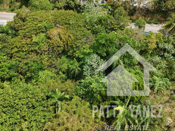Terreno en venta en Encuentro: 4.000 m² sin restricciones | Excelente oportunidad de inversión