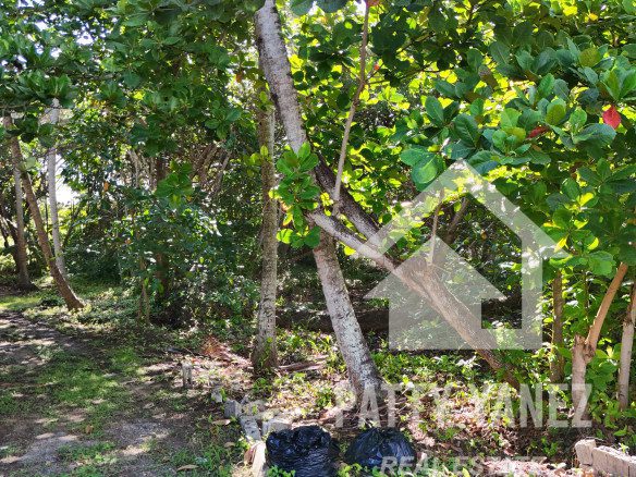 Beachfront Land for Sale in Cabarete East – 1,860 m²