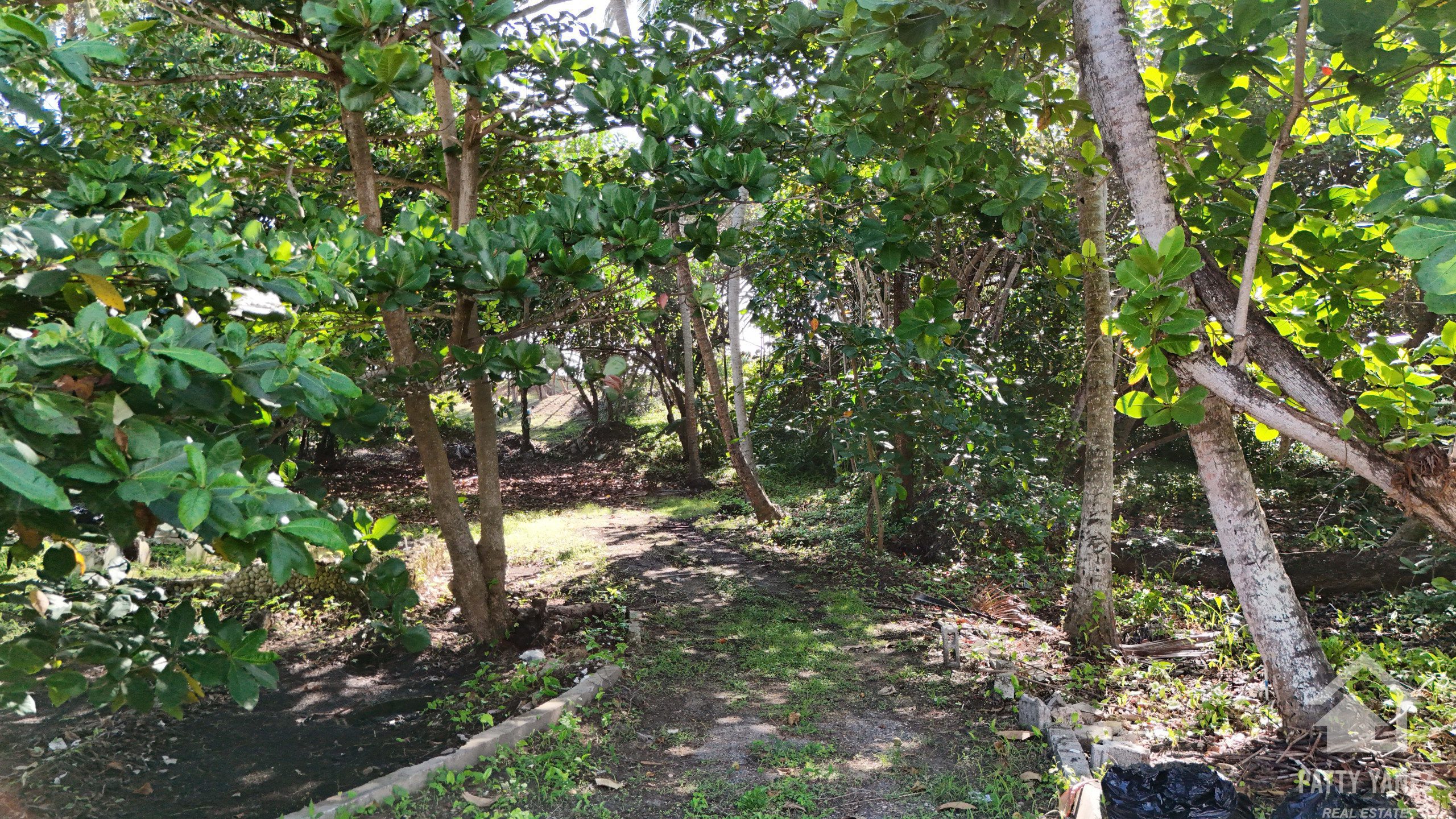 Beachfront Land for Sale in Cabarete East – 1,860 m²