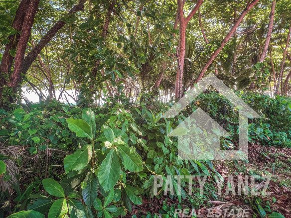 Villa frente al mar en venta en Hideaway Beach, Encuentro: una inversión ideal para Airbnb
