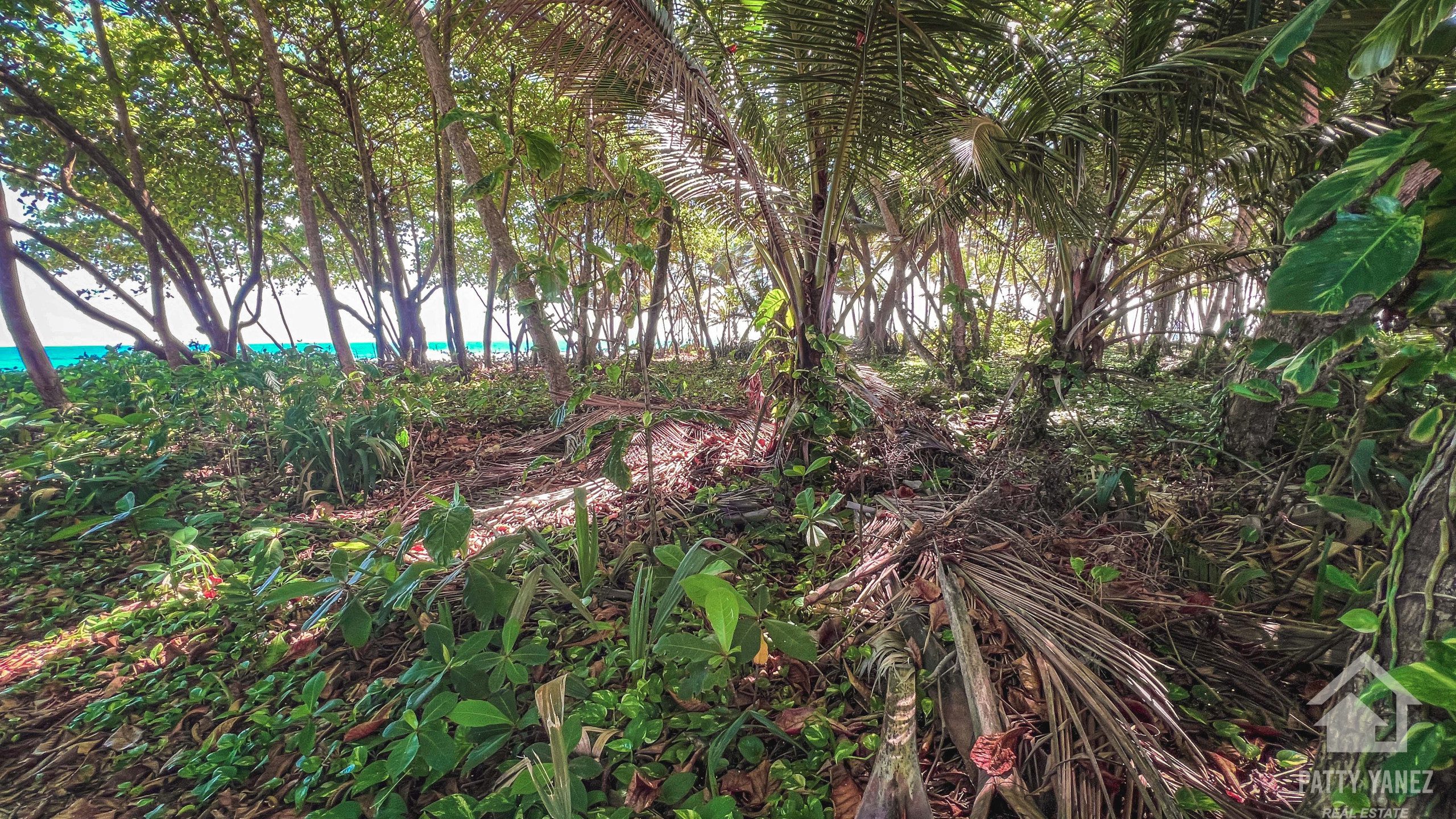 Villa frente al mar en venta en Hideaway Beach, Encuentro: una inversión ideal para Airbnb