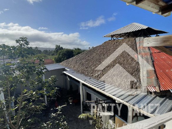 Investment Opportunity: Rental Business with 12 Units + Penthouse