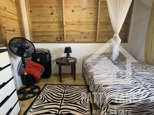 Investment Opportunity: Rental Business with 12 Units + Penthouse