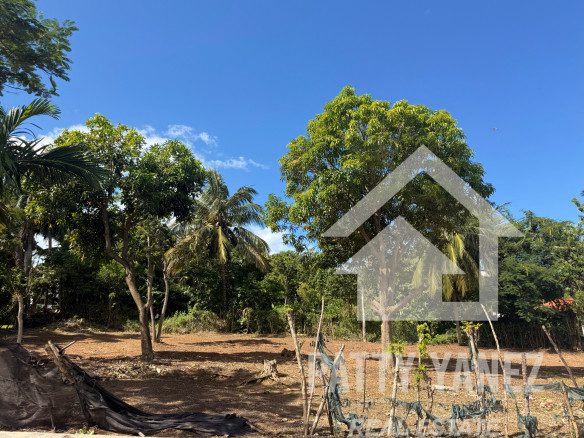 Prime Corner Lot for Sale in Playa Encuentro