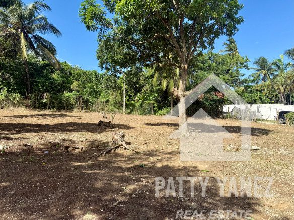 Prime Corner Lot for Sale in Playa Encuentro