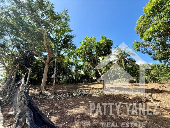 Prime Corner Lot for Sale in Playa Encuentro