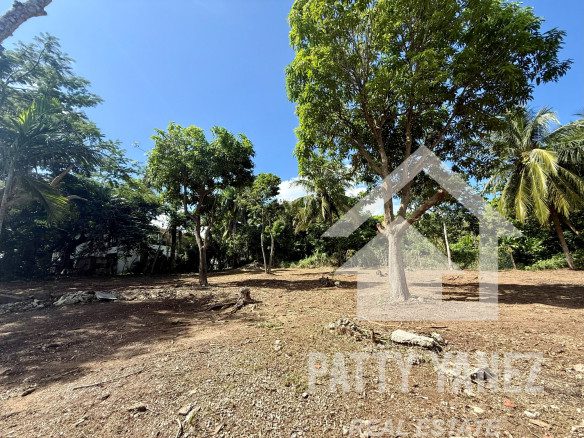 Prime Corner Lot for Sale in Playa Encuentro