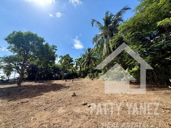 Prime Corner Lot for Sale in Playa Encuentro