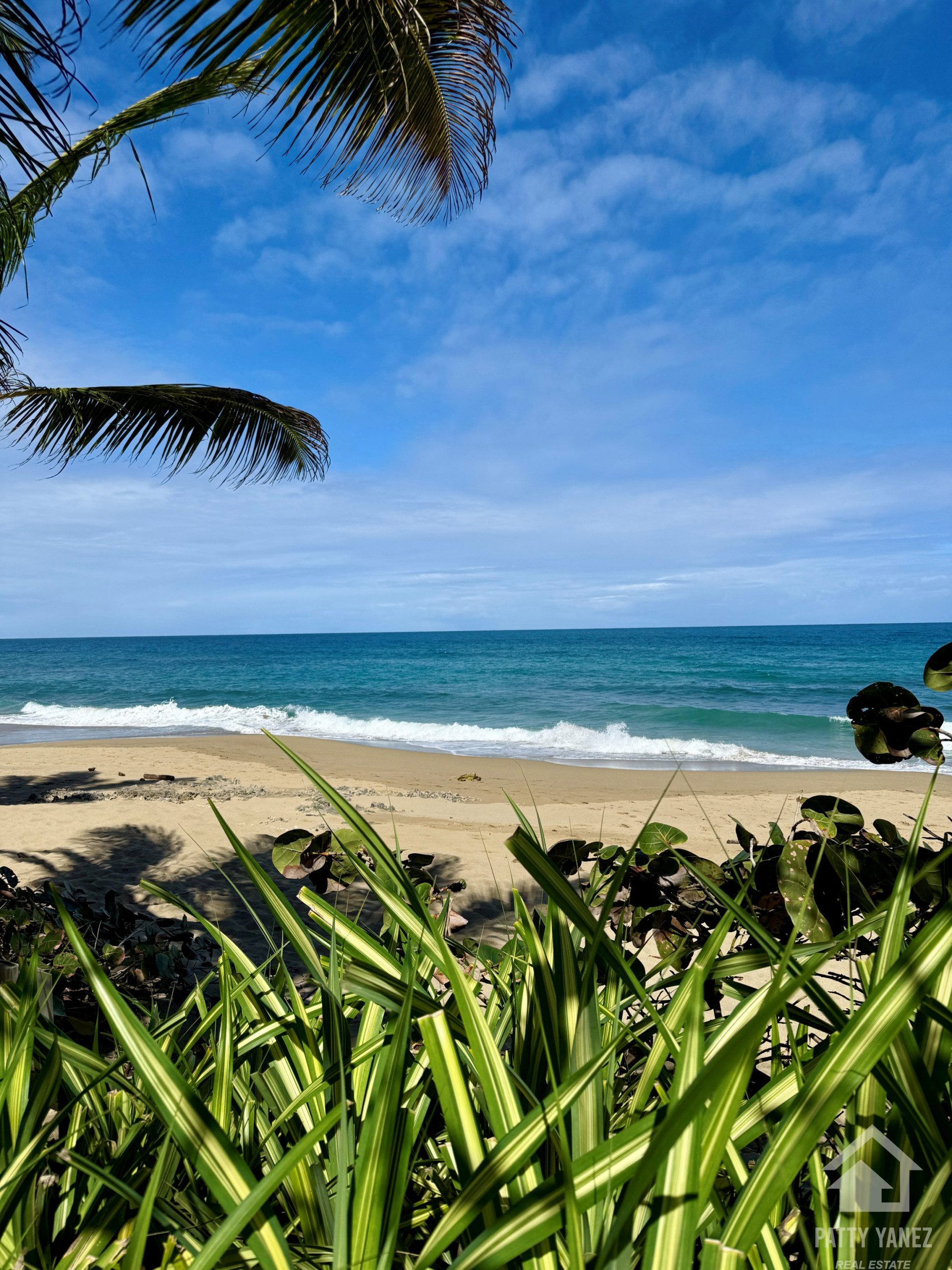 Beachfront 3-Bedroom Condo with Oceanview