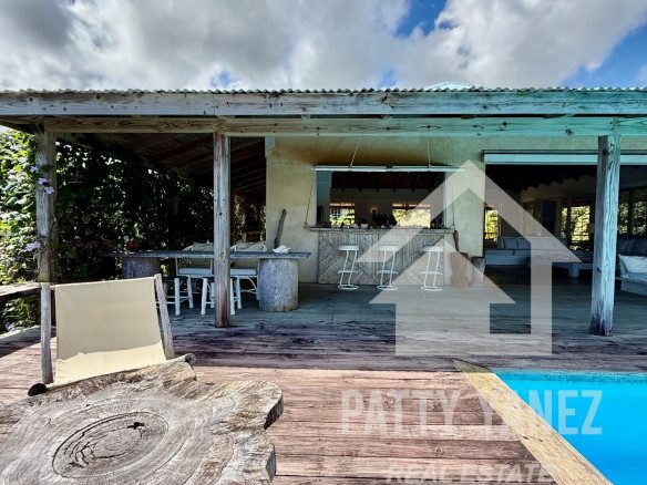 Panoramic Ocean View Villa with Guesthouse in Cabrera – Walk to the Beach