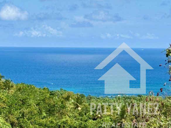 Panoramic Ocean View Villa with Guesthouse in Cabrera – Walk to the Beach