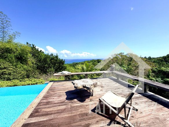 Panoramic Ocean View Villa with Guesthouse in Cabrera – Walk to the Beach