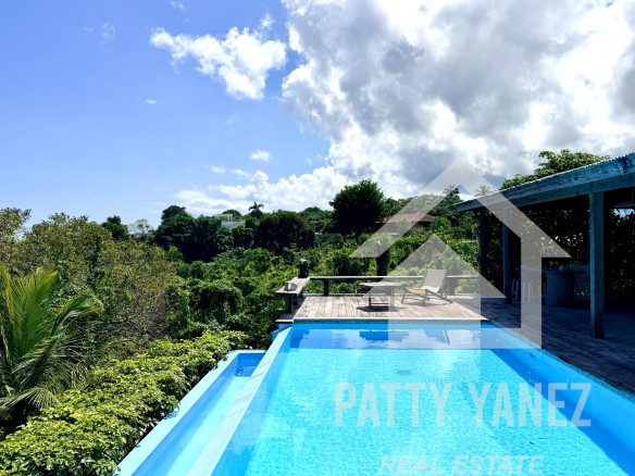 Panoramic Ocean View Villa with Guesthouse in Cabrera – Walk to the Beach