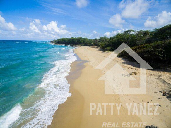 Modern 4-Bedroom Pre-Construction Villa, Walk to Beach