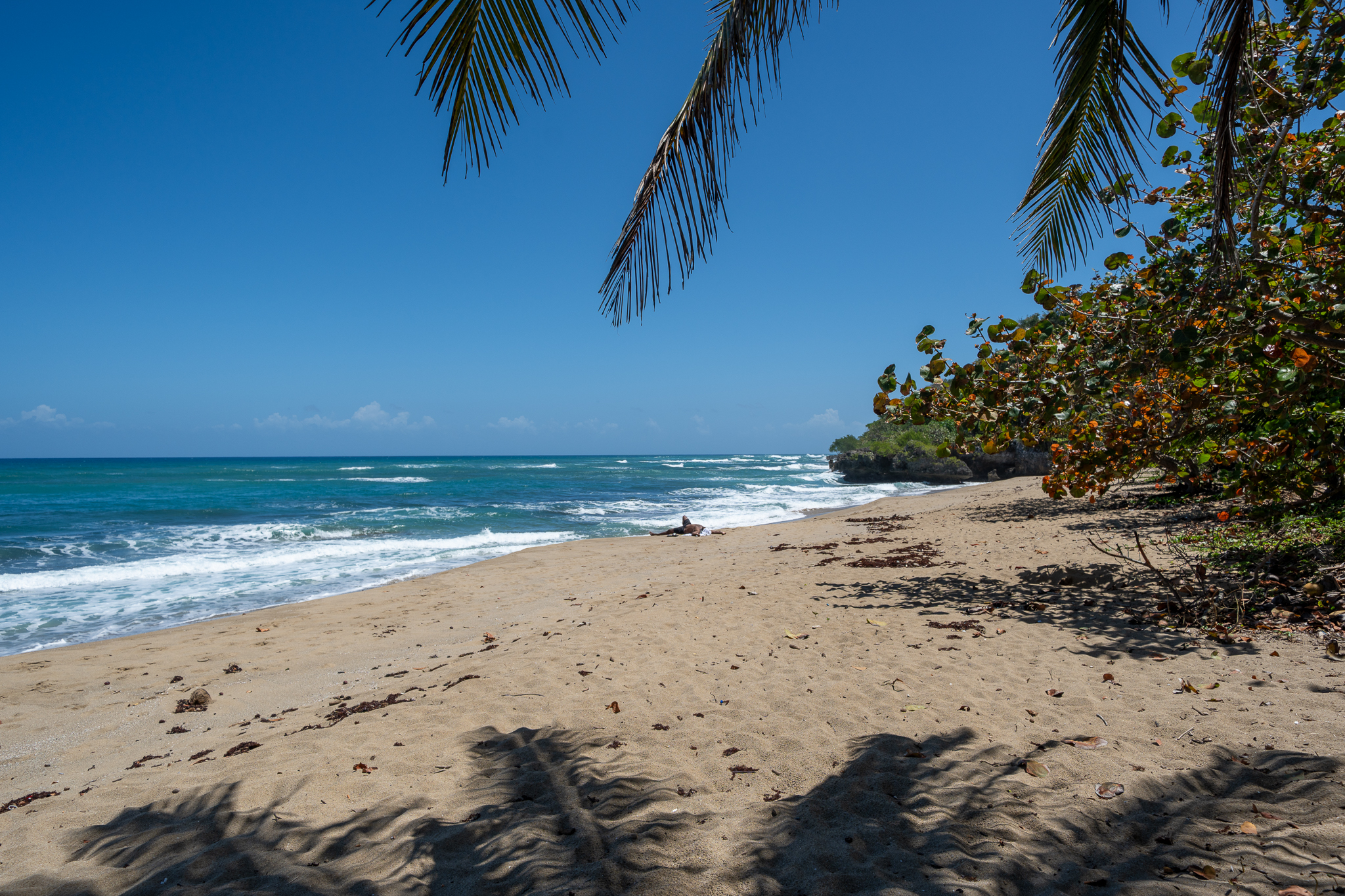 Vida de lujo en el Caribe con impresionantes vistas al mar