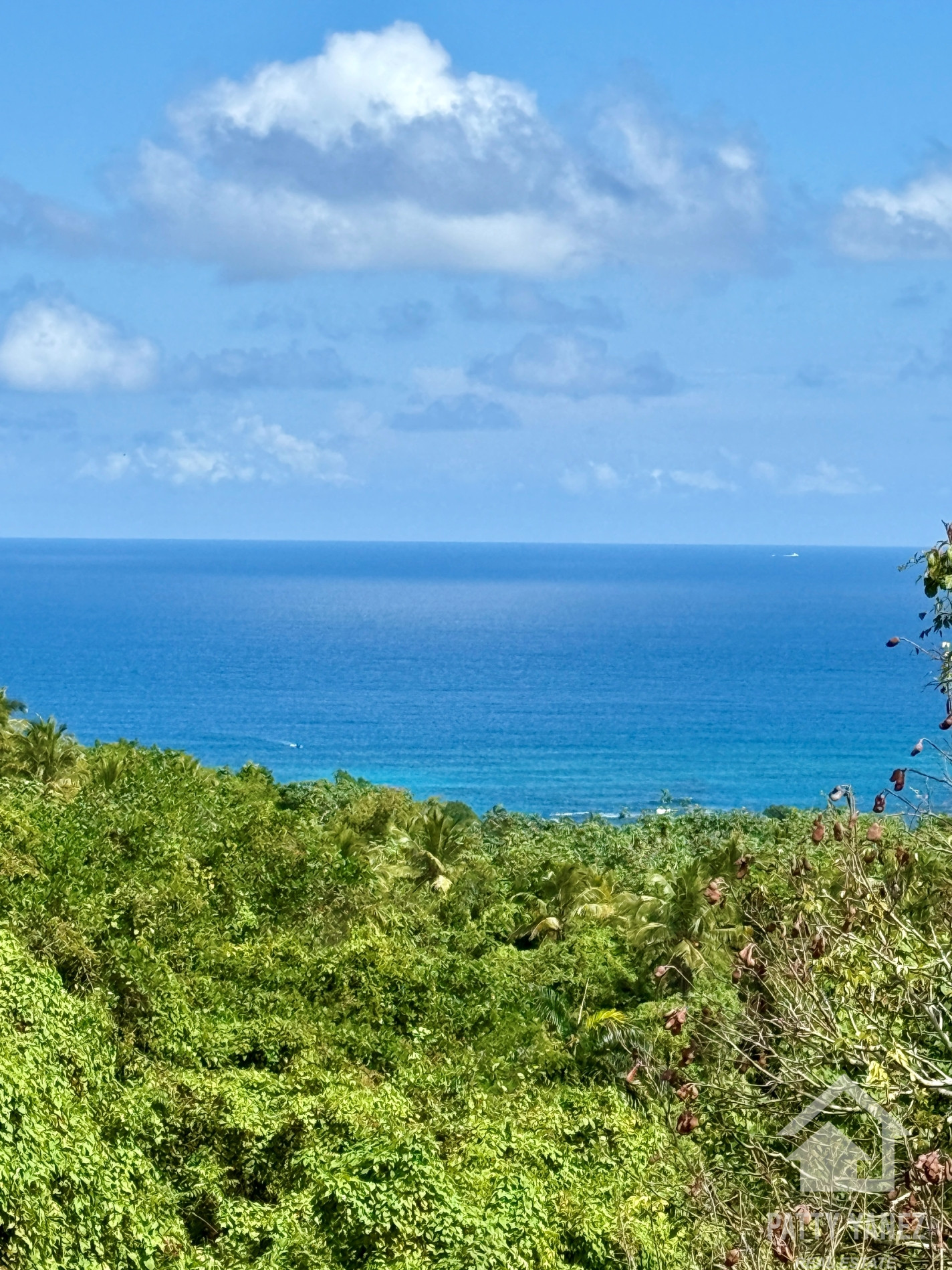 Panoramic Ocean View Villa with Guesthouse in Cabrera – Walk to the Beach