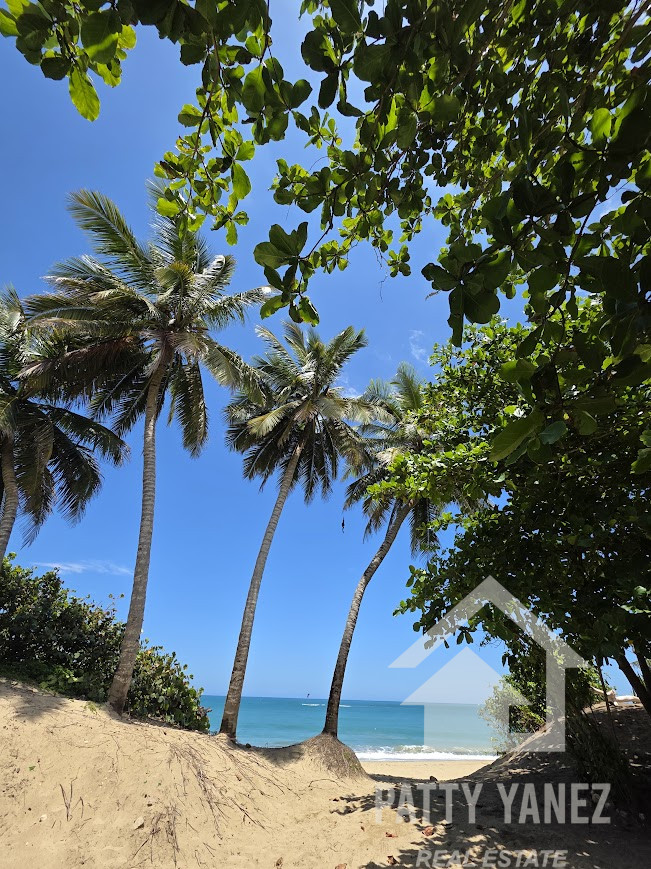 Modern 2-Bedroom Condo Near Encuentro Beach – Furnished, Ocean and Pool Views 